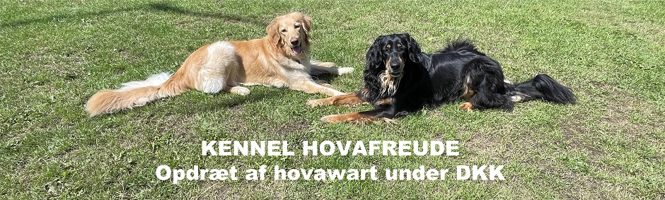 Hovafreude